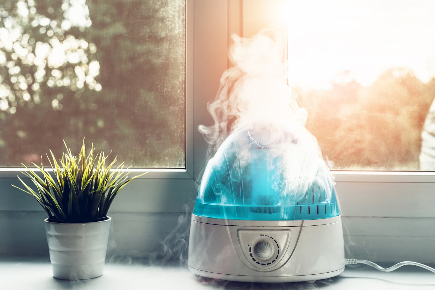 L’humidificateur d’air pour un intérieur plus respirable ? - Respiradom
